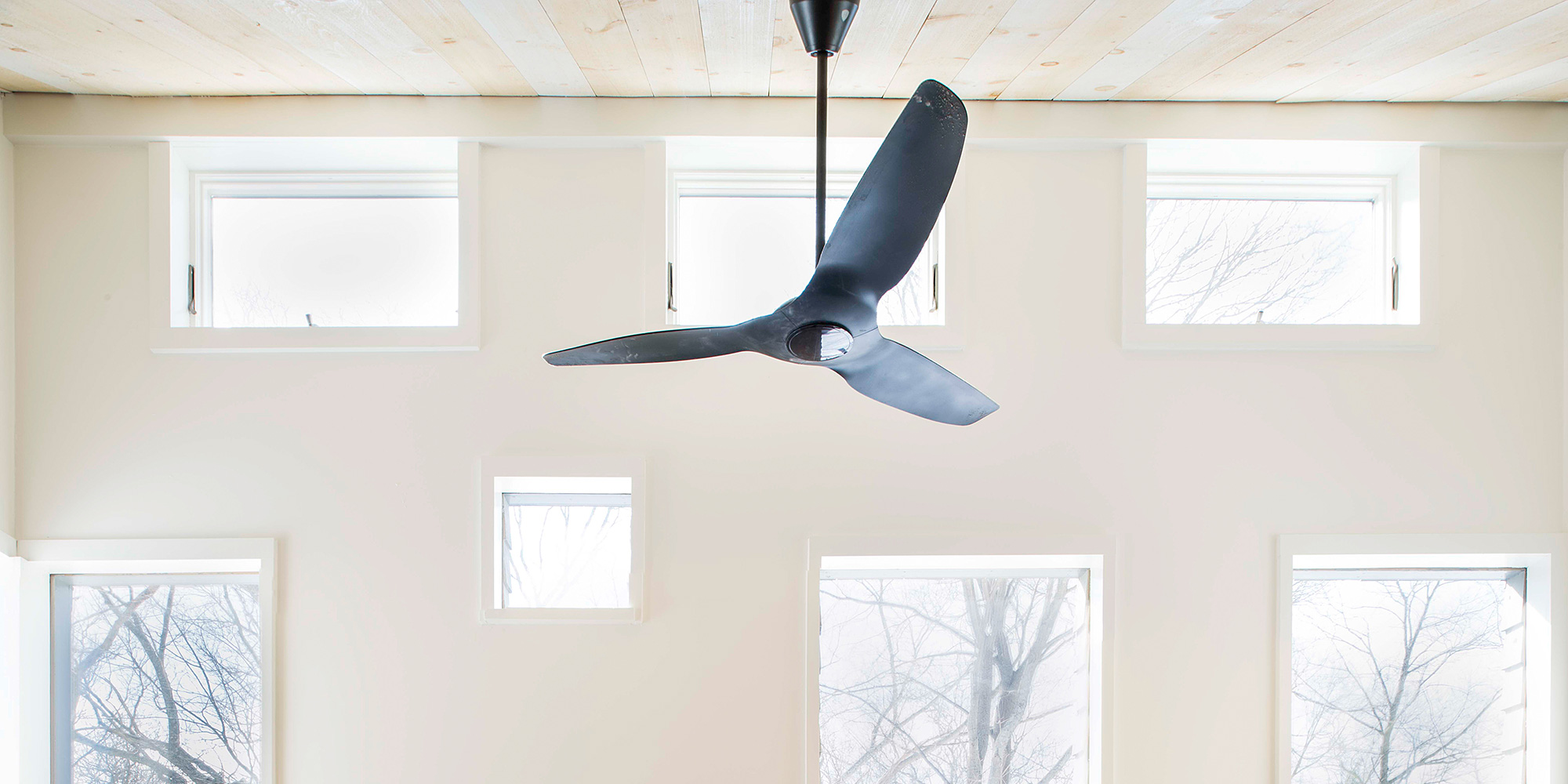 Mattapan by Shake Architecture + Construction